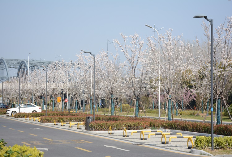 1555555.jpg