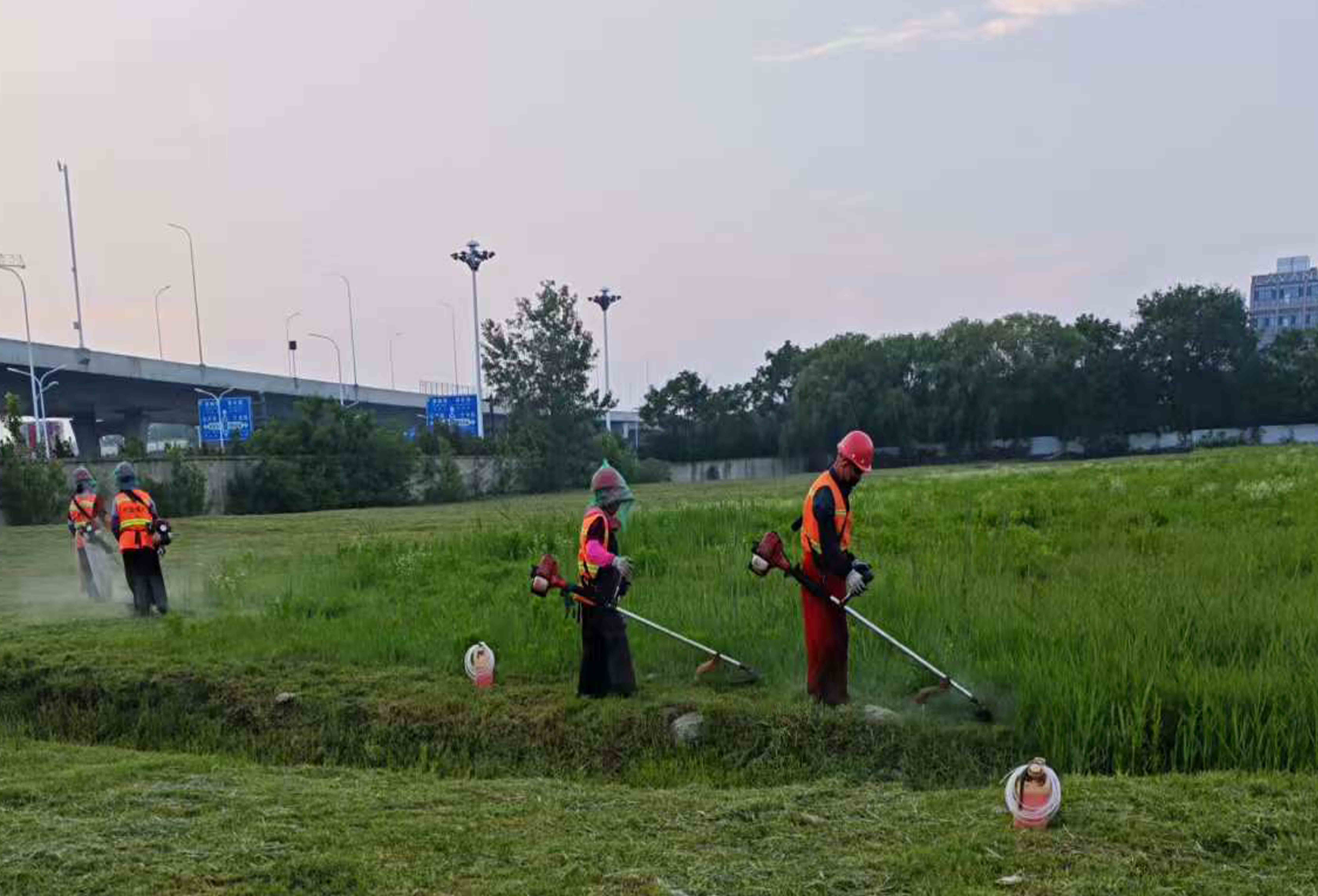 割草機(jī).jpg