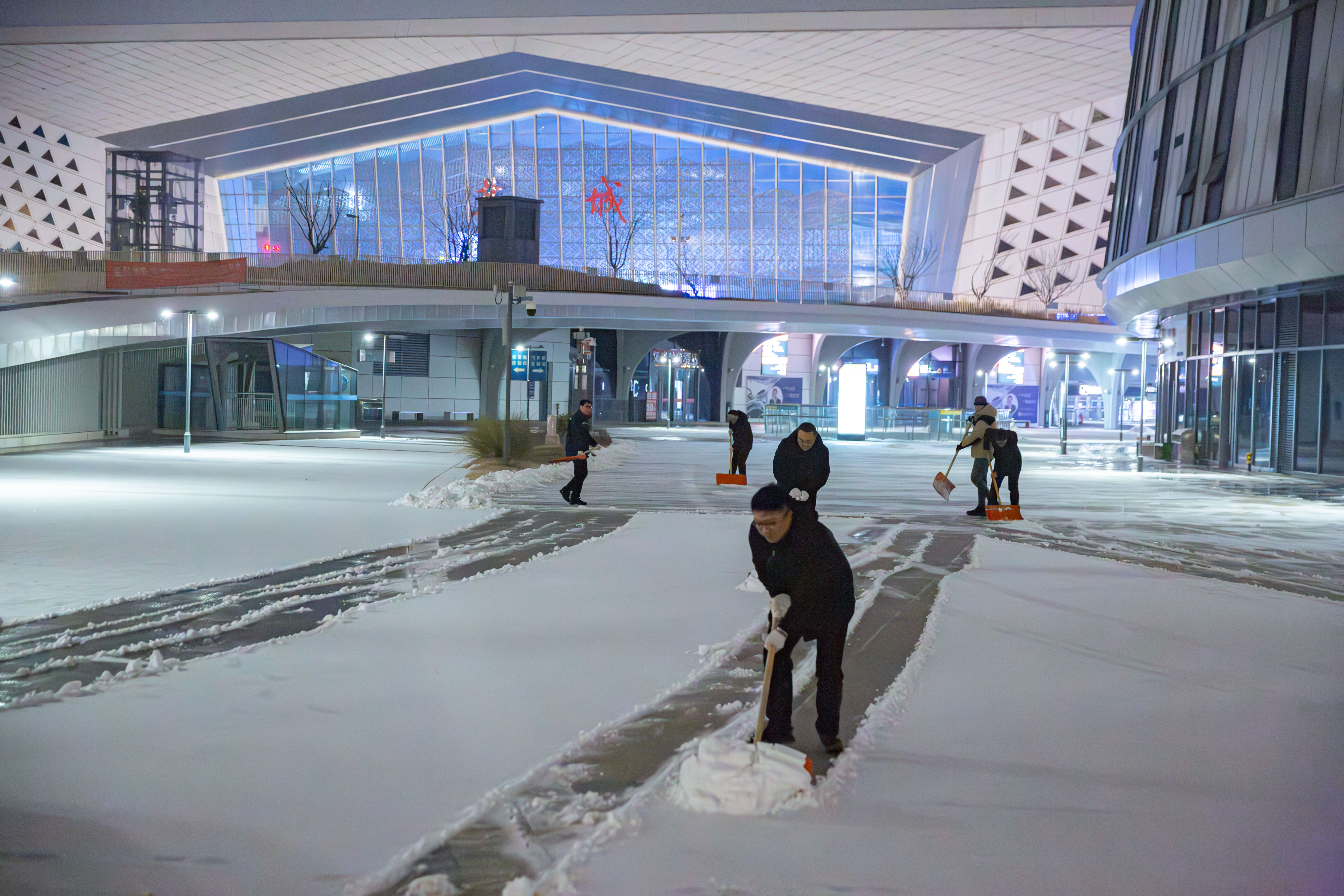 20260119-QA1A9541-已增強-降噪.jpg
