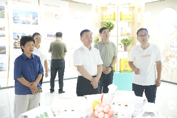 【長田動態(tài)】區(qū)政協(xié)黨組書記、主席呼廷貴一行蒞臨易豐農(nóng)業(yè)開展專題調(diào)研?